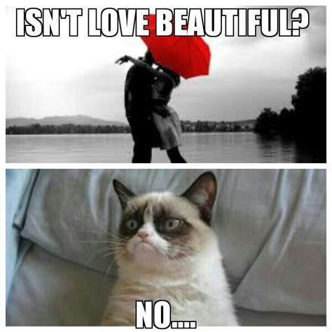 Love Beautiful Grumpy Cat Funny Grumpy Cat Memes Grumpy Cat Humor