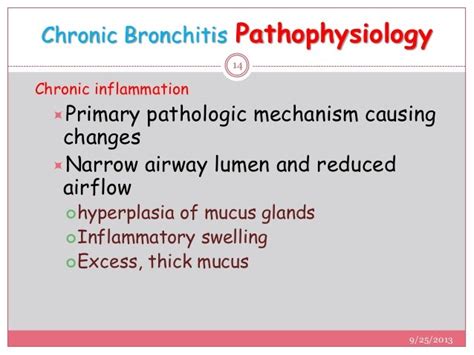 Bronchitis Pathology And Treatmentby Srota Dawn
