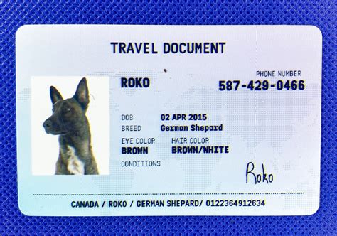 Dog Passports | ubicaciondepersonas.cdmx.gob.mx