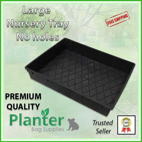 Large Nursery Tray Solid Base Free Shipping Aus