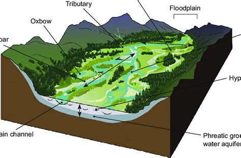 A Gravel Bed Floodplain River With Its Main Elements The Arrows Show