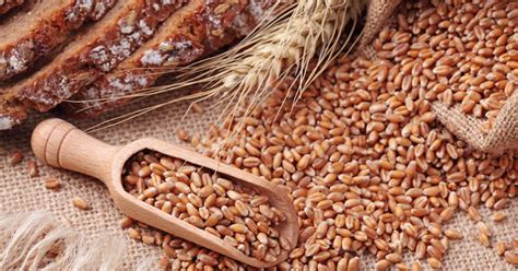 Foods such as popcorn, rice, and oatmeal are also included in the grains group. Whole Grains As Nutritious Alternatives To Refined Grains