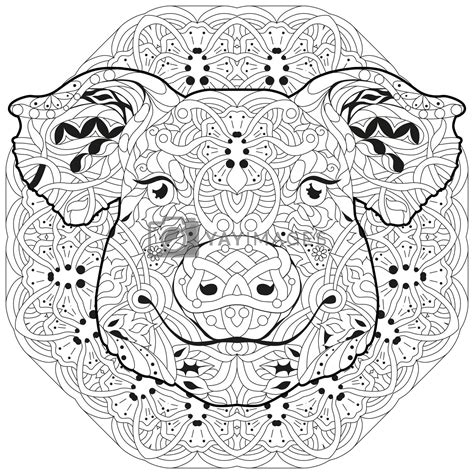 Zentangle Pig Head With Mandala Hand Drawn Decorative Vector