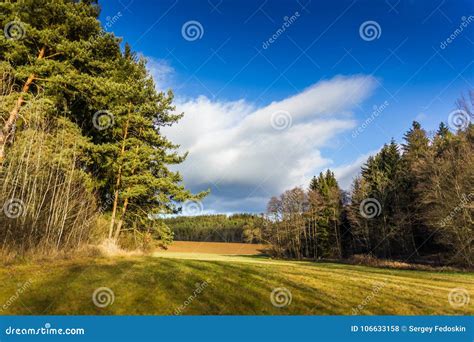 Autumn Sunny Landscape In Windy Weather Stock Photo Image Of