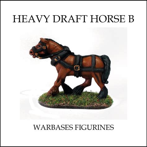 heavy draft horse