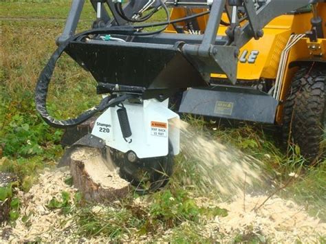 Get Rid Of Unwanted Stumps To Learn More About Our Low Maintenance