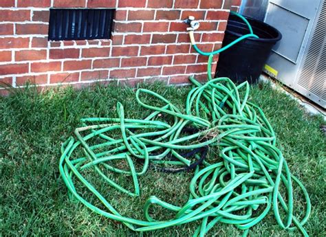 How long the novel coronavirus lasts in the body and on surfaces can vary depending on the circumstances. Garden Hose Holder | Self-Sufficiency | Before It's News
