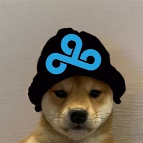 Cloud9 Dogwifhat In 2020 Cloud 9 Doggy Memes