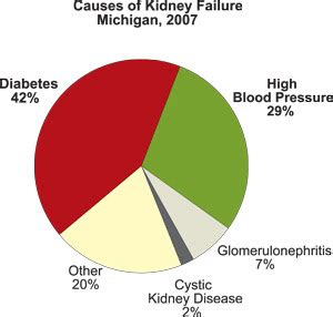 Ckd is a condition in which the kidneys are damaged and cannot filter blood as well as they should. Information of diseases: causes of kidney disease