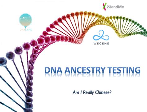 Dna Ancestry Testing Am I Really Chinese Hot And Sour