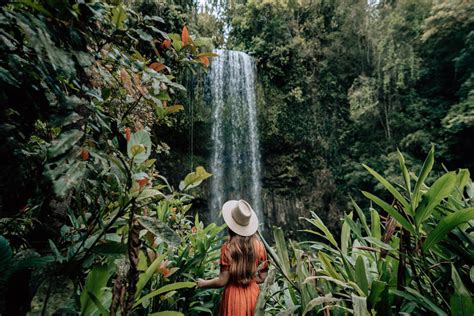 Best Waterfalls On The Atherton Tablelands Cairns And Great Barrier Reef