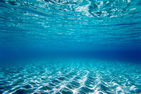We did not find results for: Ocean Underwater Wallpaper HD | PixelsTalk.Net