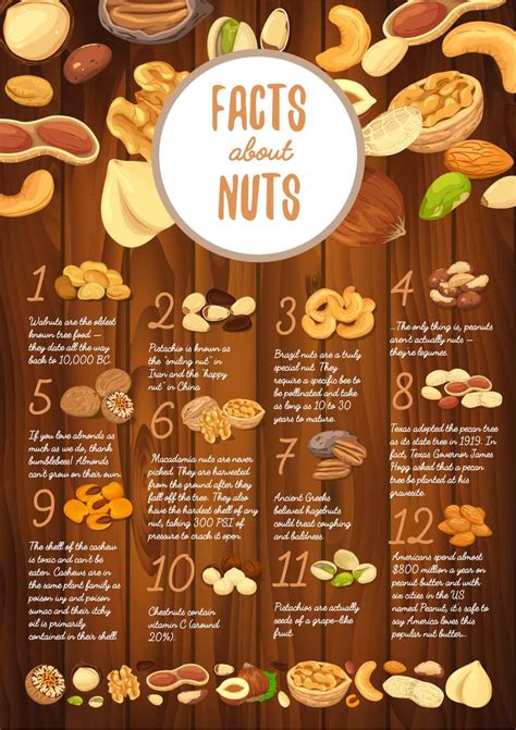 Huge List Of The 20 Different Types Of Nuts You Can Eat And Cook With