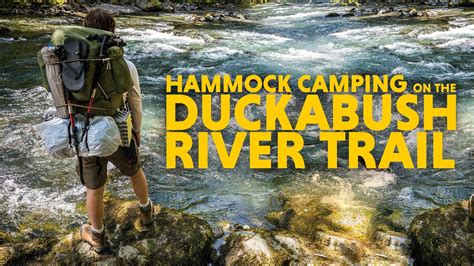Hammock Camping And Backpacking Duckabush River Trail