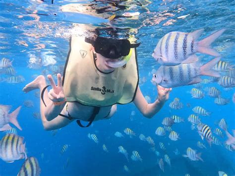 snorkeling in barbados best beaches to snorkel in barbados explore with lora