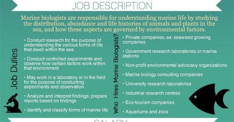 How To Become A Marine Biologist