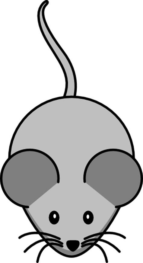 Transgenic Mouse Clip Art At Vector Clip Art Online