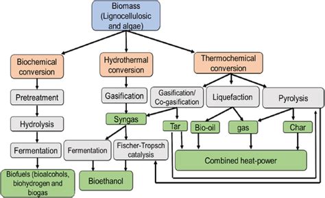 Three Major Routes Of Biomass Conversion With Different Types Of