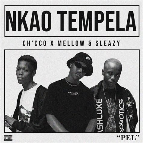 Nkao Tempela By Mellow And Sleazy And Chcco On Beatsource