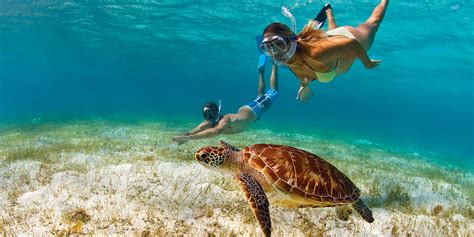 11 Best Snorkeling Spots In The Caribbean The Moorings