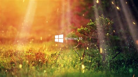 Live Hd Wallpaper For Windows 10 Live Wallpapers Windows 10