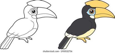 Horn Bill Burung Enggang Vector Drawing 库存矢量图（免版税）1950532756 Shutterstock