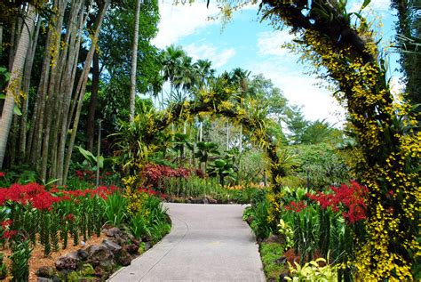 Los mejores jardines botánicos del mundo Consumer