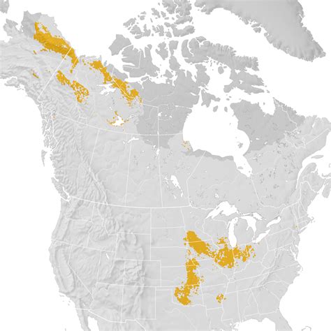 Smiths Longspur Range Map Pre Breeding Migration Ebird Status And