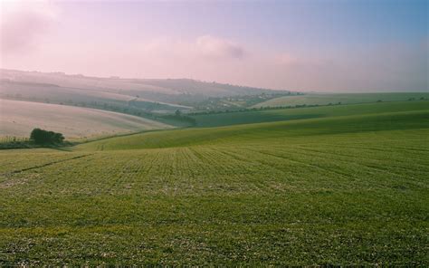 Open Field Wallpapers Wallpaper Cave