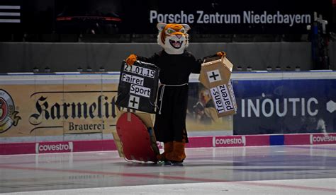 Del Nimmt Straubing Tigers Ins Visier