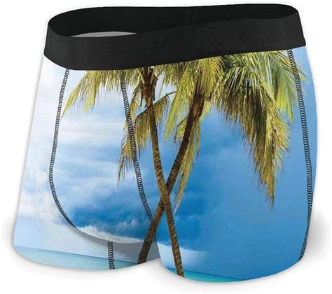 Hawaiian Mens Boxer Briefs Underwear Cloudy Sky Boat In The Sea Palm