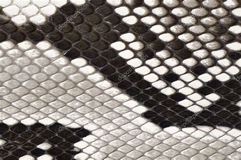 Snake Skin Leather Material Stock Photo By ©yurizap 3135350