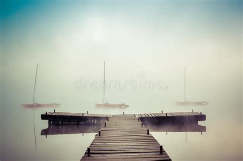 Morning Foggy Lake Landscape Stock Image Image Of Nature Reflection