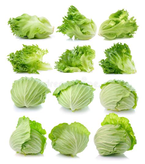 Lettuce Leaves And Cabbage Stock Photo Image Of Health 73168930