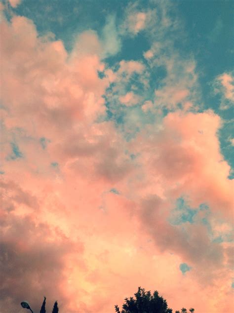 Pink Cotton Candy Clouds Photography Cotton Candy Clouds Pink Cotton