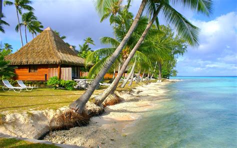 Nature Landscape Tropical Beach Sea Island Palm Trees Bungalow