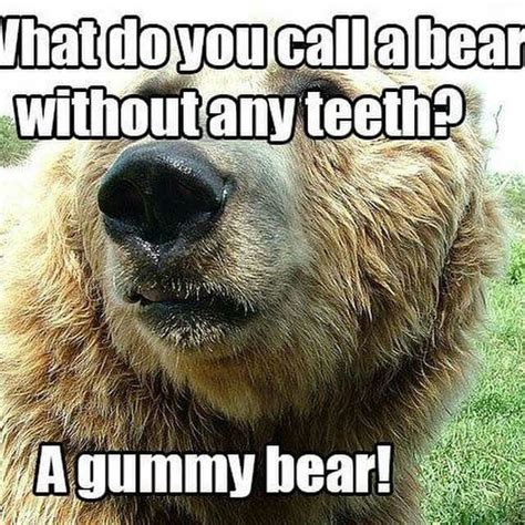 Ha Ha Soooo True Funny Animals Funny Animal Quotes Funny Bears