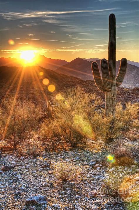 Desert Sunset Phoenix Az ~ The Most Stunning Sunsets Desert Life