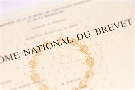 Côte Dor Avis Aux Mentions Très Bien Du Brevet Des Collèges Demandez Votre Récompense