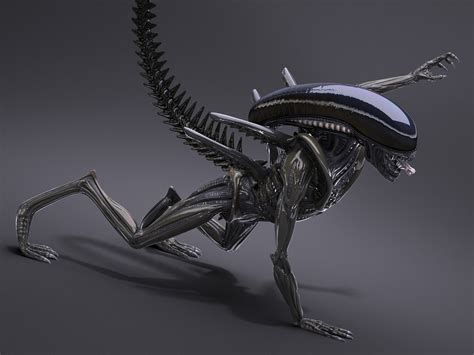 Alien Xenomorph High Detail 3d Model Rigged Cgtrader