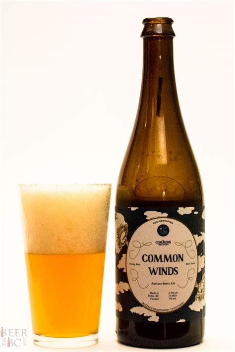 Four Winds Brewing Common Winds Apricot Brett Ale Beer Me British