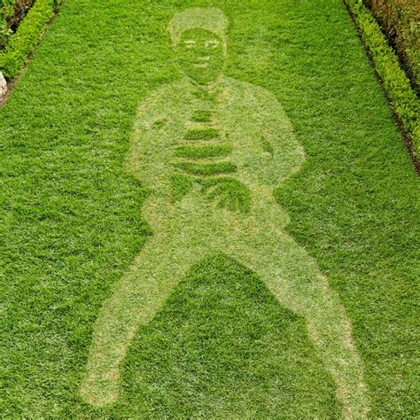 How To Create Grass Art Lawn Art Better Homes And Gardens Lawn