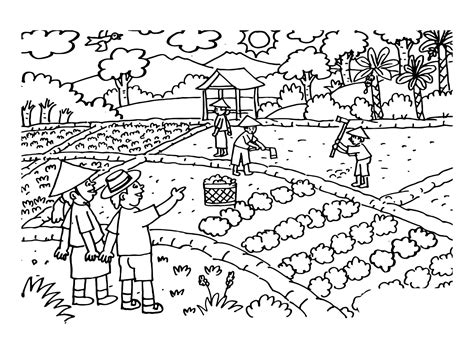 Vector illustration of people doing activities in the garden and rice