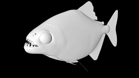 Piranha Fish 3d Model Turbosquid 1689593