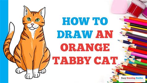 How To Draw An Orange Tabby Cat Easy Step By Step Drawing Tutorial For Beginners Youtube