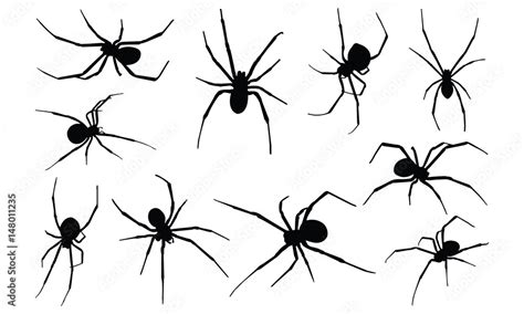 Black Widow Spider Silhouette Vector Illustration Stock Vector Adobe