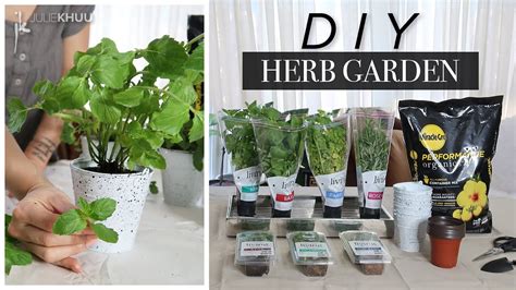 Diy Indoor Herb Garden For Beginners Julie Khuu