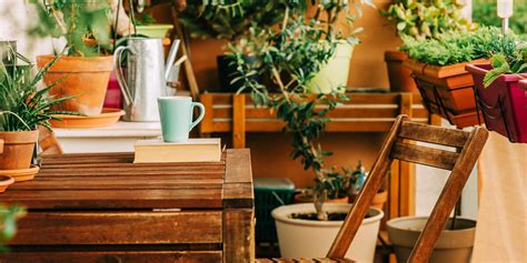 Balcony Privacy: Best Plants to Grow as Privacy Screens ...