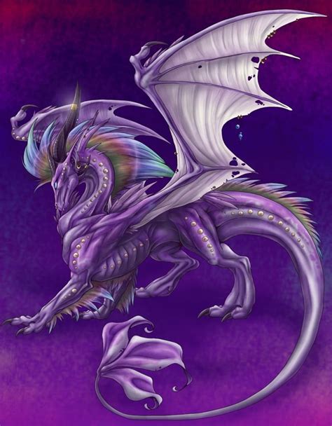 Purple Dragon Drachen Fabelwesen Drachen Bilder