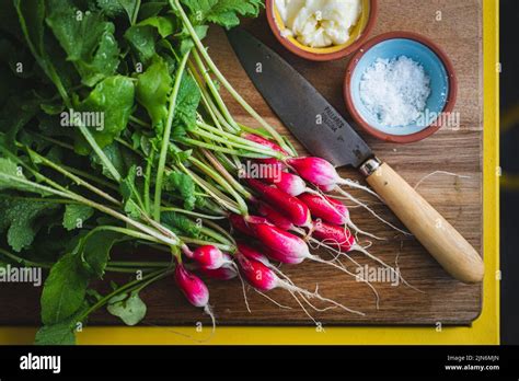 French Breakfast Radishes With Butter And Salt Stock Photo Alamy